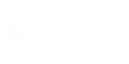 Pay1oad