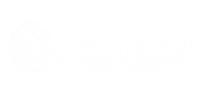Pay1oad